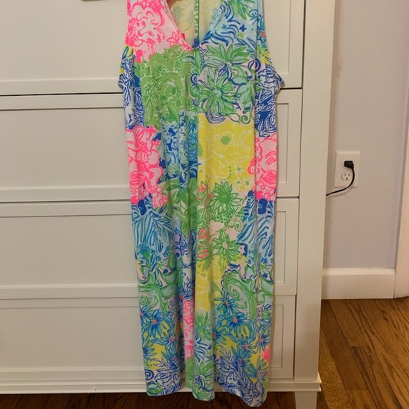 Lilly Pulitzer Dress - Picture 4 of 7